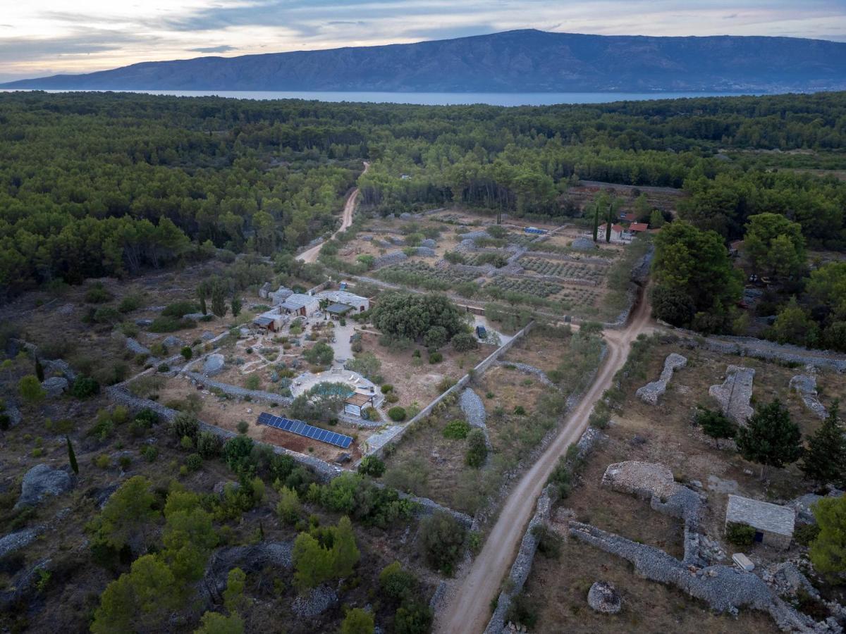 Villa Oxa Dreamland Stari Grad  Exterior foto